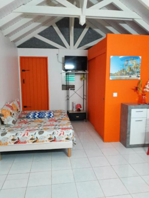 Bungalow d'une chambre avec jardin et wifi a Petit Bourg